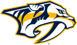 nino, niederreiter, schweiz, chur, eishockey, hockey, icehockey, ice, stürmer, winnipeg jet, nhl, profi, pro, professional, National Hockey League, amerika, america, united states, usa, canada, kanada, sport